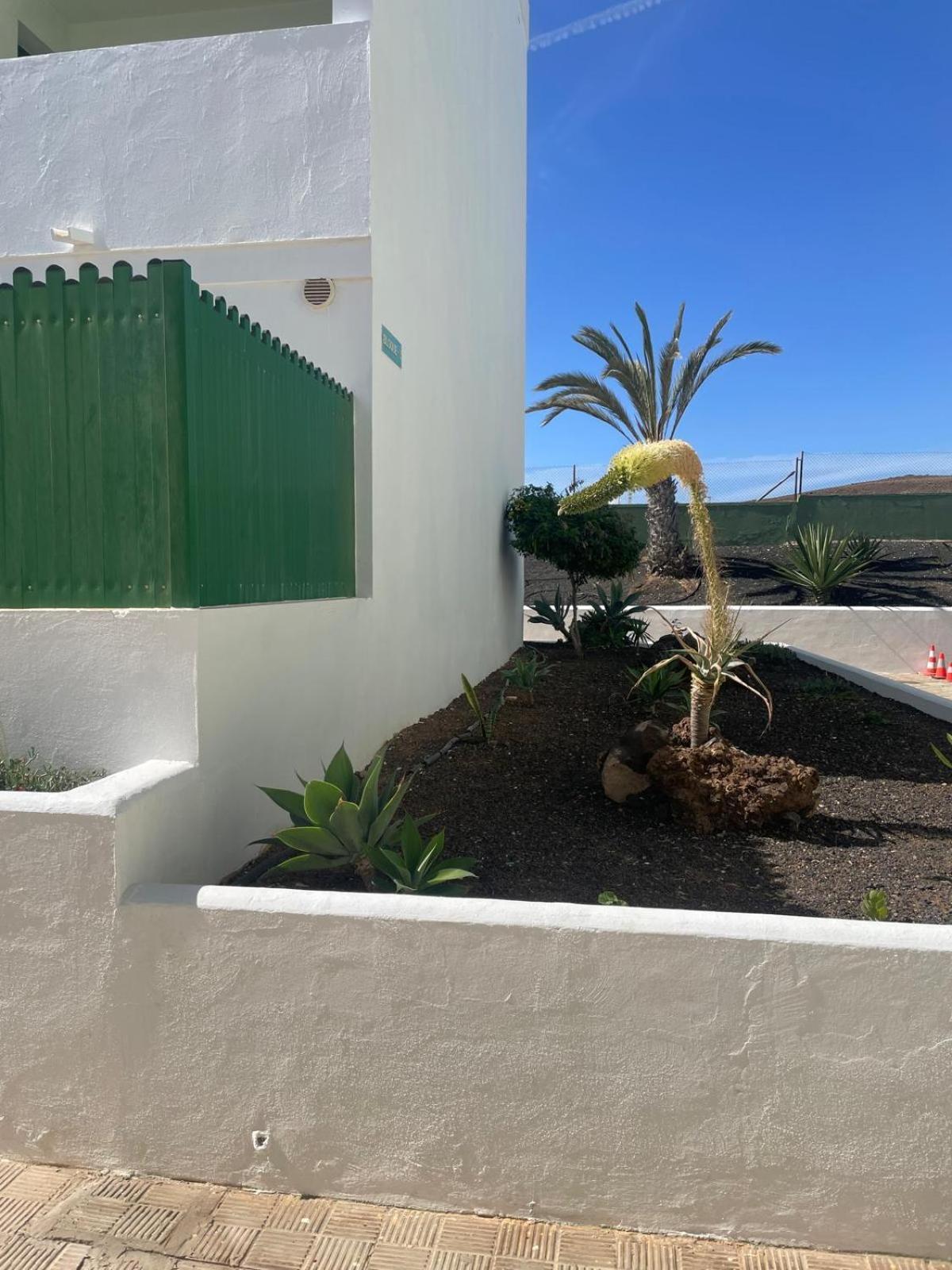 Fuertesun Dunas Beach Parque Holandes Екстериор снимка